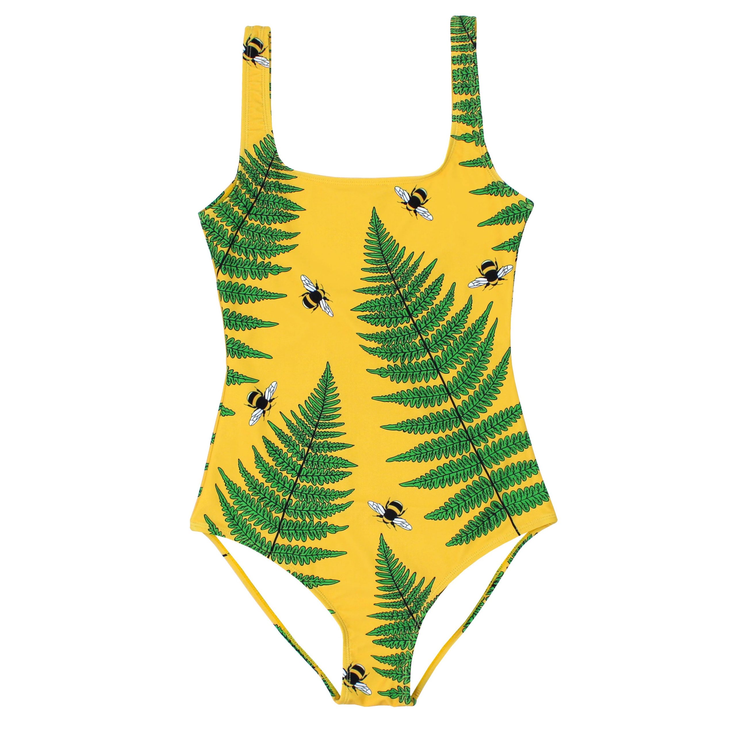 Ferns