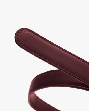 celestia belt 1