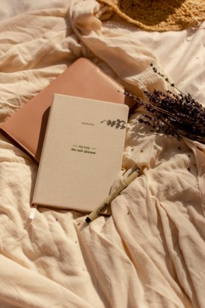 the samara anti planner 1