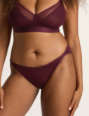 freemesh bikini fig 1