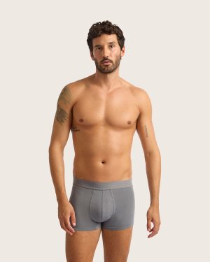mens everyday boxer briefs ash 1