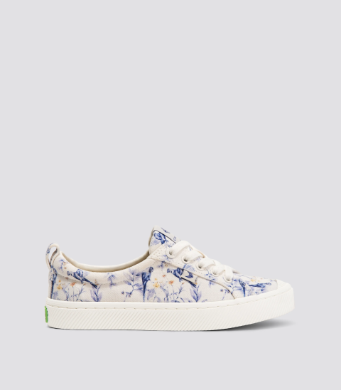 oca canvas white spectrum blue parrot print 1