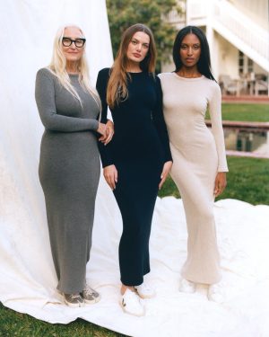 the long sleeve crew dress 1