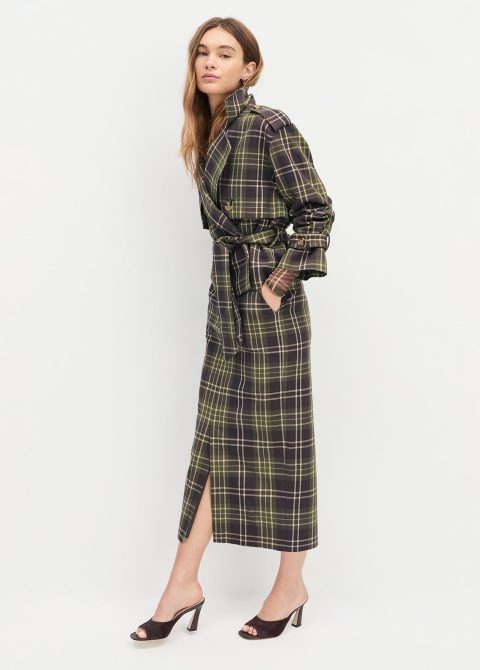 the meyer skirt 1