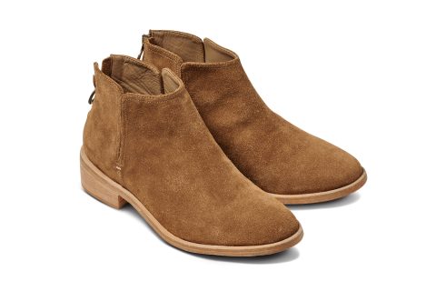 falcon chestnut 1