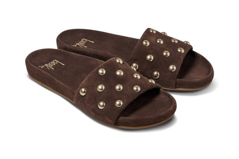 gallito stud coffee 1